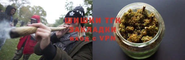 дмт Абаза