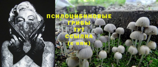 первитин Абинск
