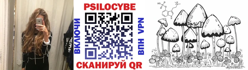наркотики  Бирюсинск  Галлюциногенные грибы Psilocybine cubensis 